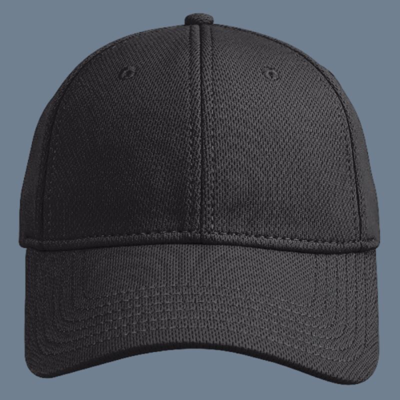 OTTO CAP® 6 Panel Low Profile Baseball Cap Thumbnail