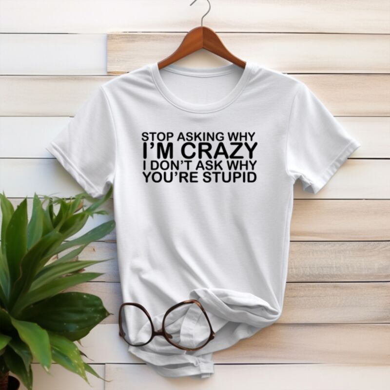 I Don't ask why you're stupid Thumbnail