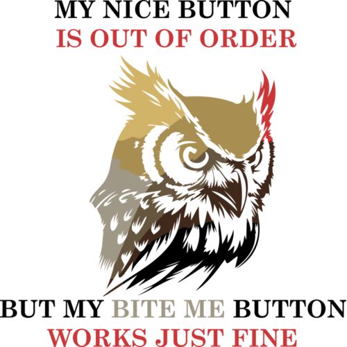 MY NICE BUTTON IS OUT OF ORDER Thumbnail