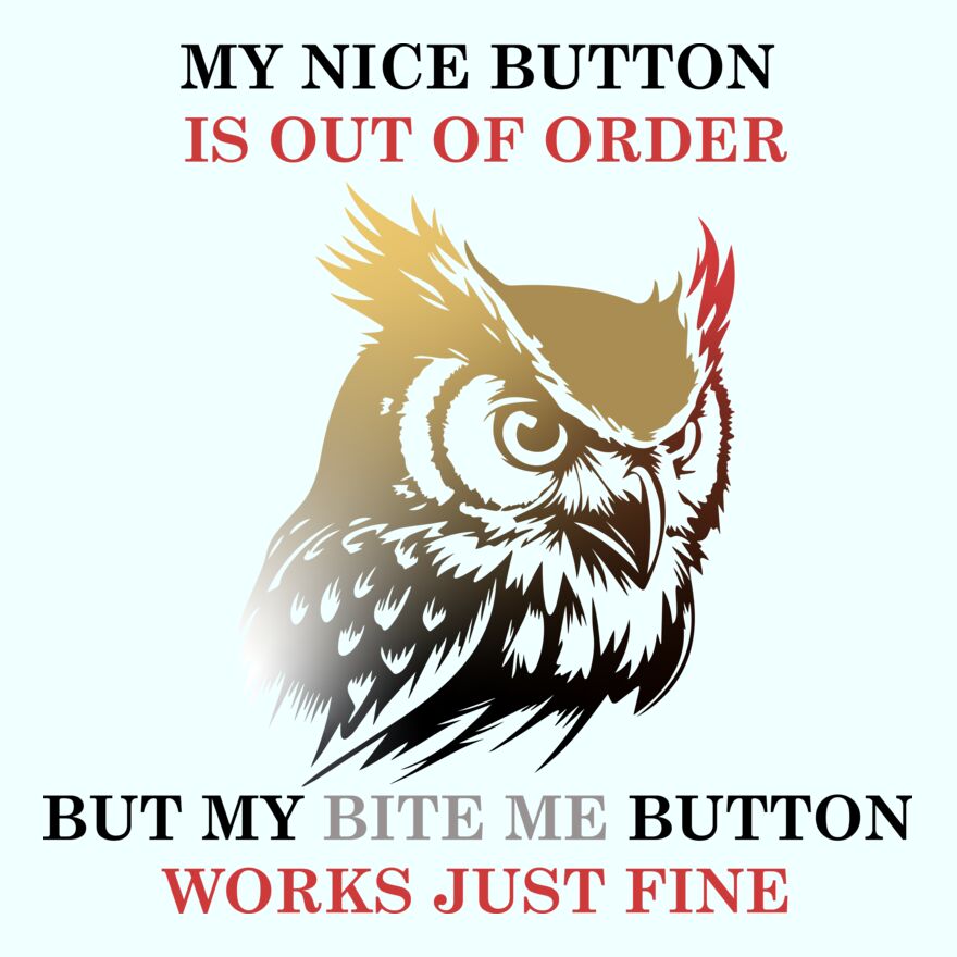 MY NICE BUTTON IS OUT OF ORDER Thumbnail