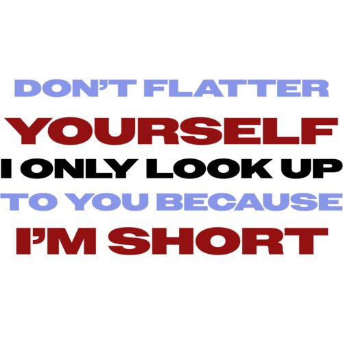 DON'T FLATTER YOURSELF Thumbnail