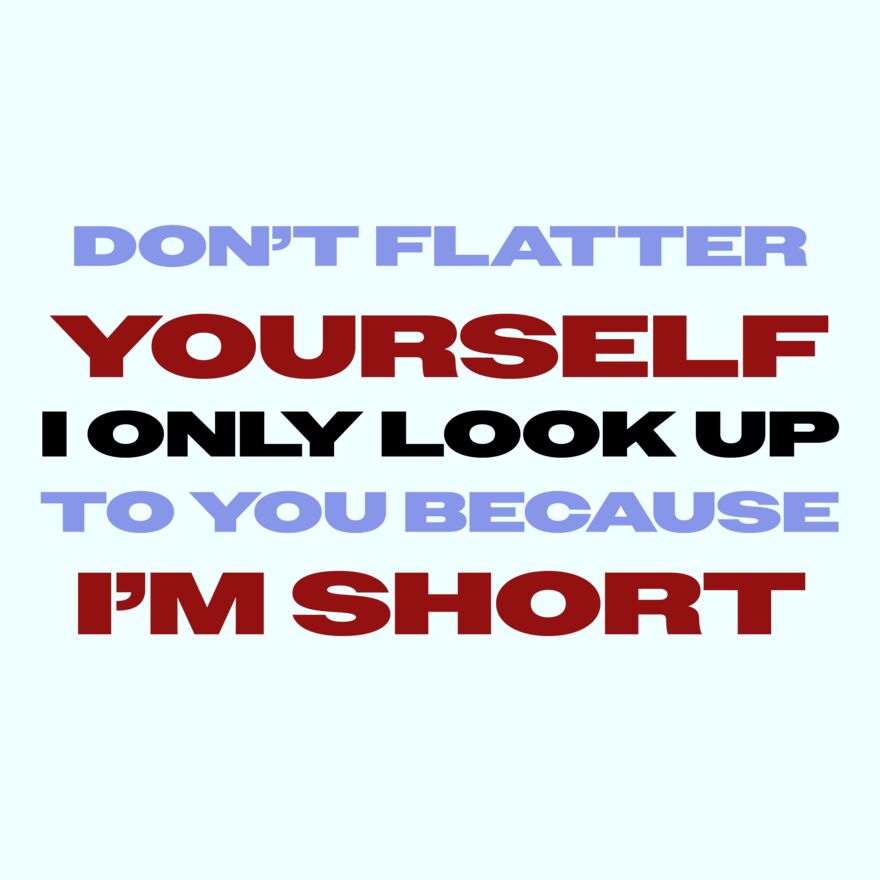 DON'T FLATTER YOURSELF Thumbnail