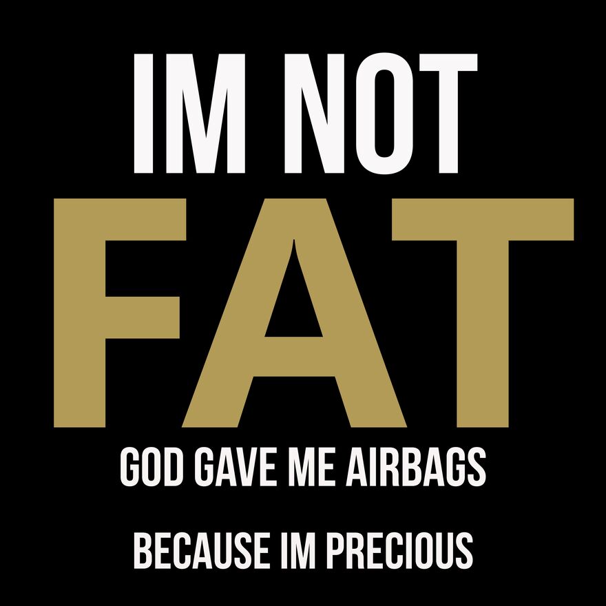 I'M NOT FAT - JUST AIR BAGS Thumbnail
