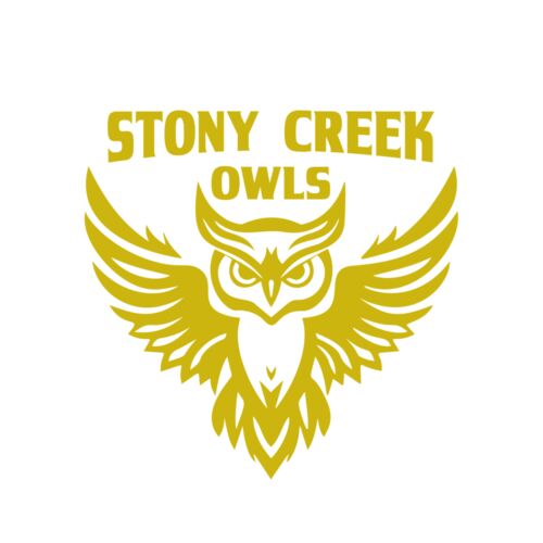 School Owls 04 Thumbnail