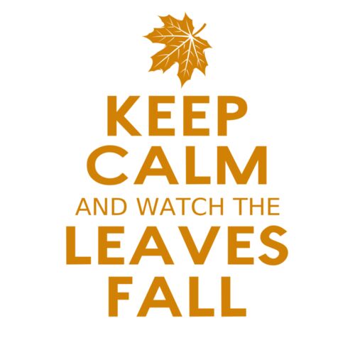 Fall Season 04 Thumbnail