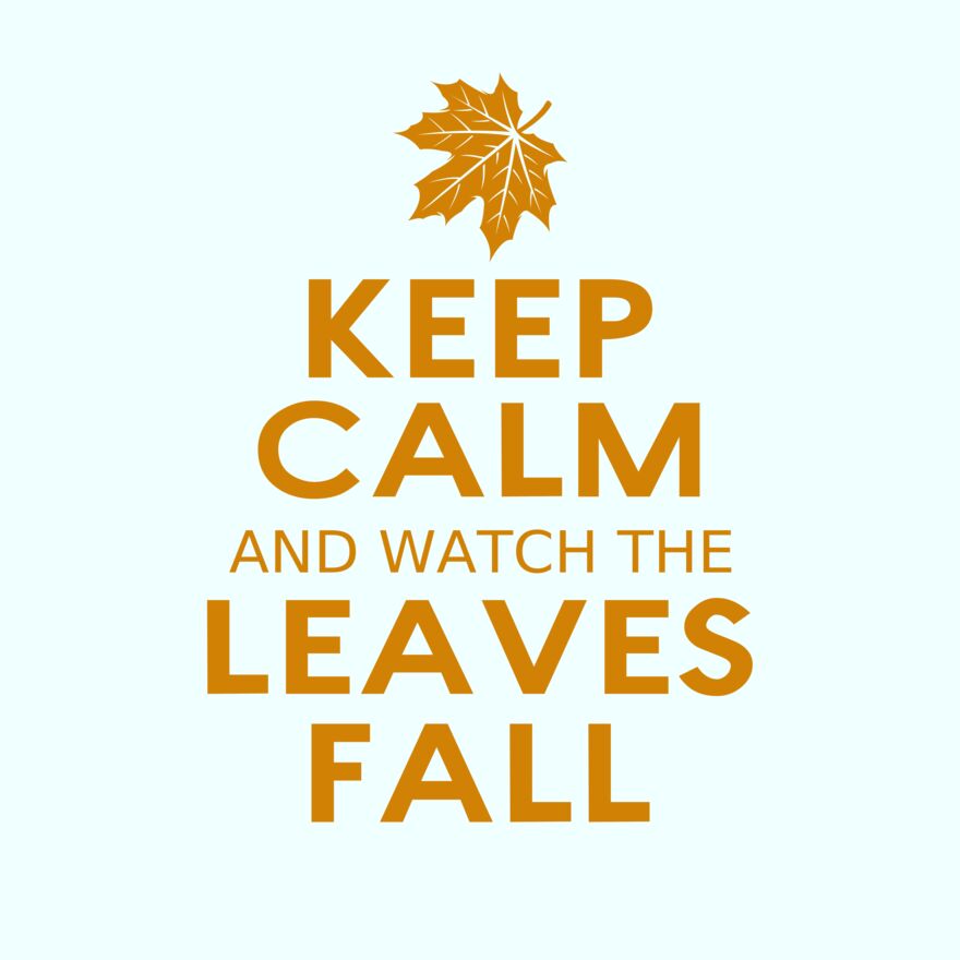 Fall Season 04 Thumbnail