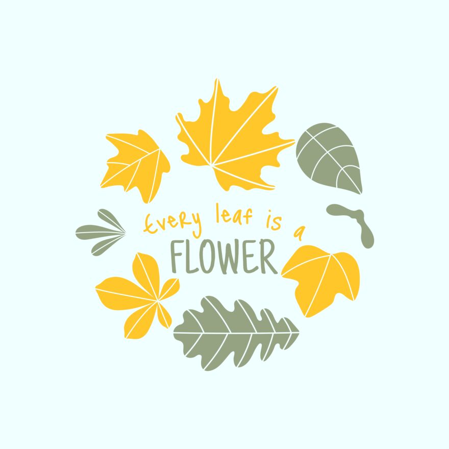 Fall Season 13 Thumbnail