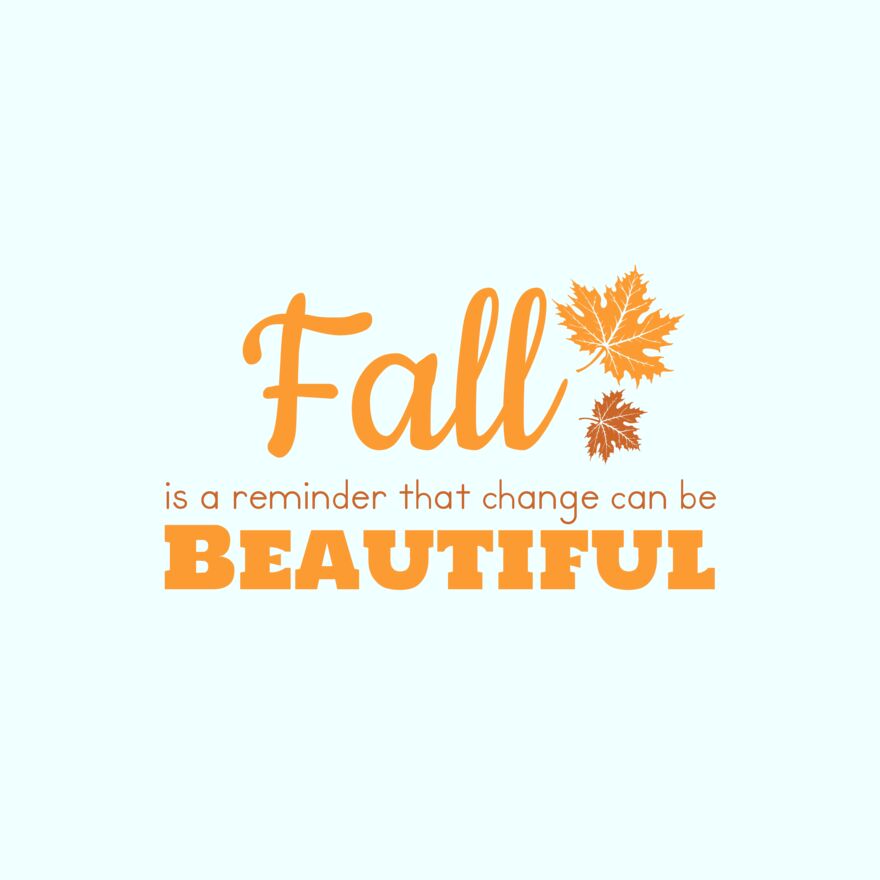 Fall Season 32 Thumbnail