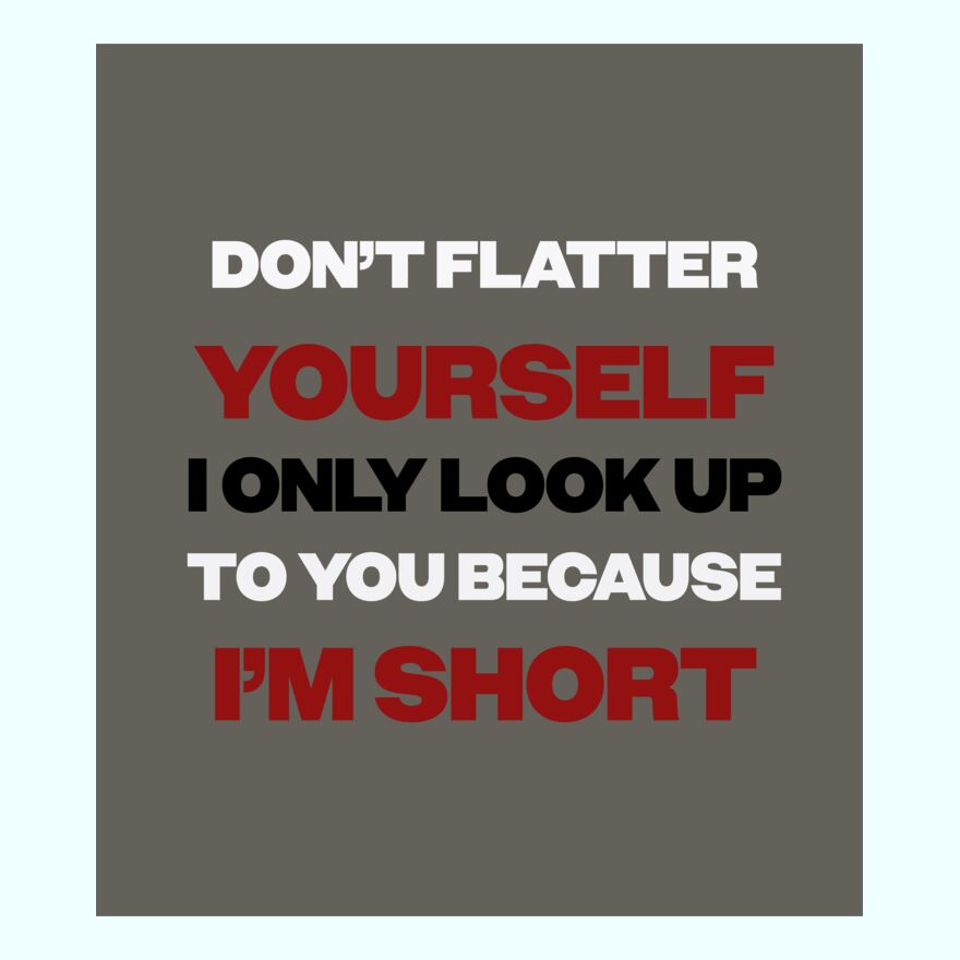 DON'T FLATTER YOURSELF Thumbnail